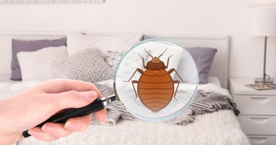 ����������� ������� ������ � �������: �������� � ��������� ���