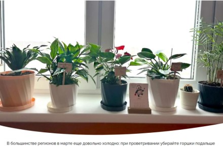 ��������������� ��������� ��� ��������� � 16 �� 22 �����