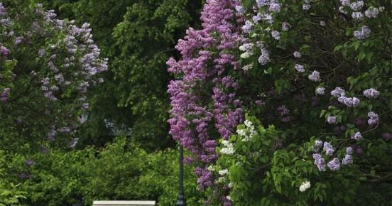 ������: ���������� ��������� �������� � ������� ����� �� ���