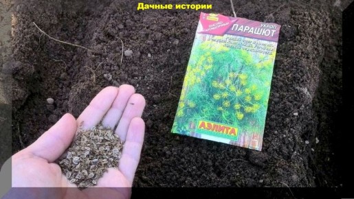 ��� ��������� ����� ������ � �������� �����: �������� ������� ������