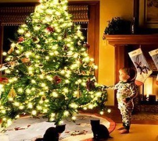 ����� ���, ����� �����: ��� ������������� ���� ����������