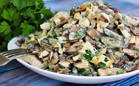 ������ ������� �����: ��������� ������ � ������, ������� ���������