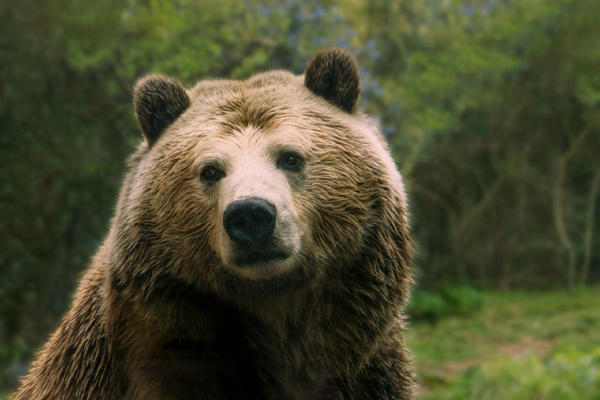 Госдума одобрила законопроект о строительстве на охраняемых природных территориях
