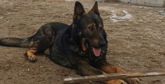 � ������ ���������� ��������� ������ �� �������� ��������� � ��������� �� �������� ������