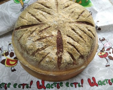 ������������ ���� ��������� ����� �� ��������