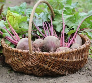 ��� ��������� �������� ������ ��� �������� ������