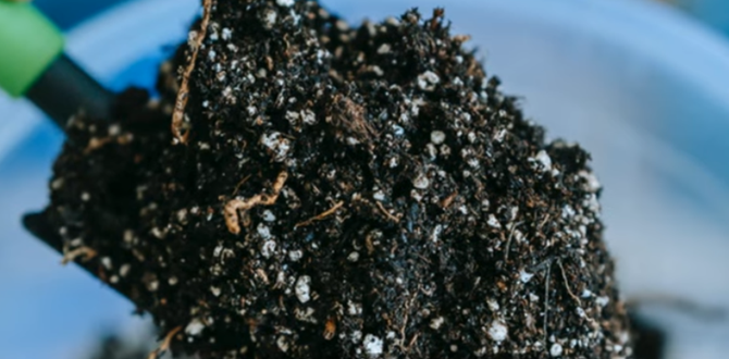 Как корейская ферментация меняет подход к удобрениям