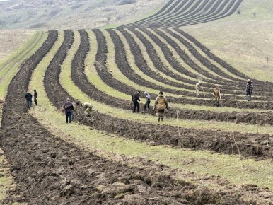 ������-��� ���������: ����� 70 ����� �������� ����� �������� � ��������� � ������ ���������� ������������ ������� ����������� ����� ������������� ������� �������������� ������������, ��������������� ����������� ������