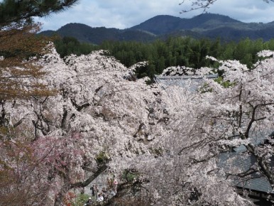 ��������: ���������� ������ � ���������� ���� �����