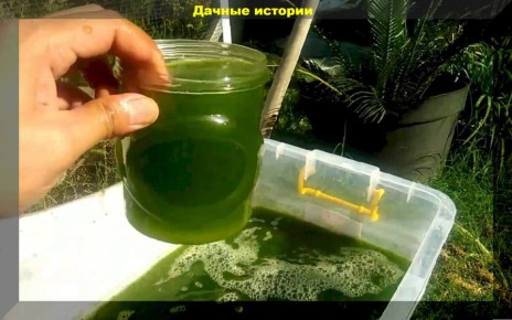 ��� ��������� �������� � �������� �� ���������� ������� ���������