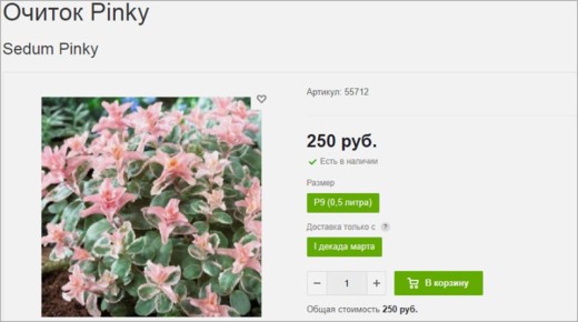 ��������� ������� ���������: ������ �� �������� ��������