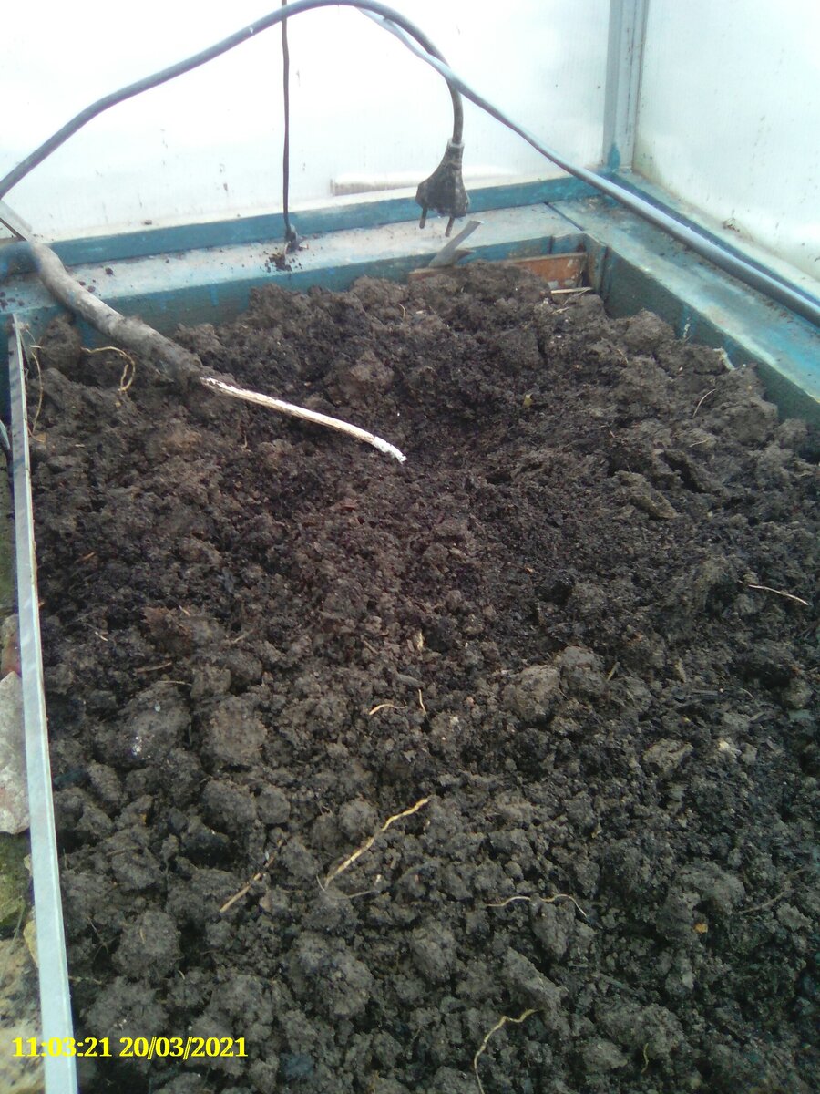 Эффективные методы обогрева теплицы в марте