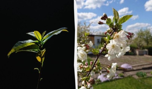 ����� ������� ������� �������� ��� ��� �� ������