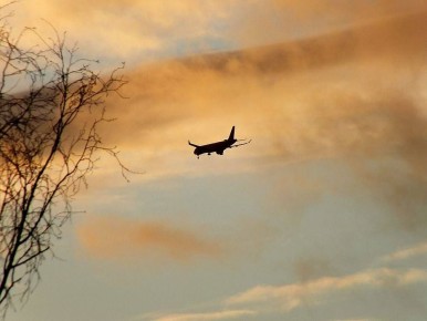 Житель Ингушетии получил два года колонии за шутку о бомбе на борту самолета