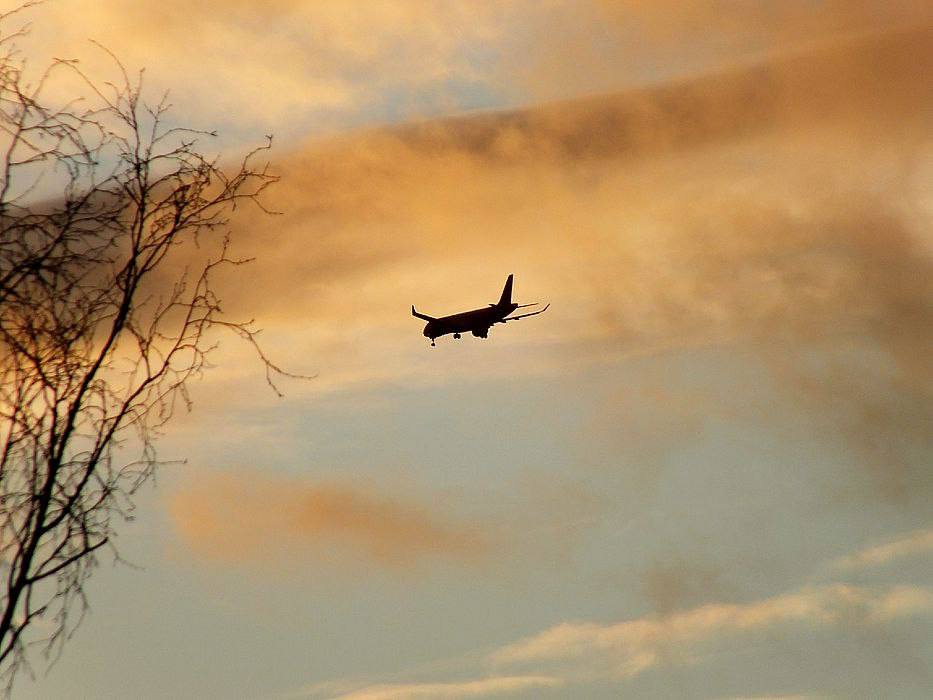 Житель Ингушетии получил два года колонии за шутку о бомбе на борту самолета