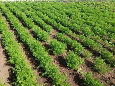 ��� ���������� ������� � ����� ��� ���������� ������ � ����