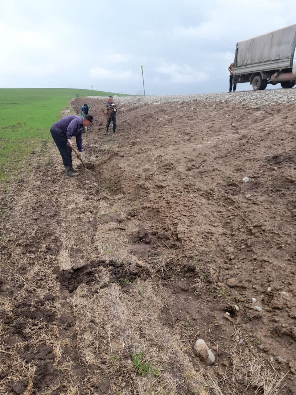 Всероссийская акция «Сохраним лес» в Ингушетии набирает обороты Всероссийская акция «Сохраним лес» в Ингушетии набирает обороты