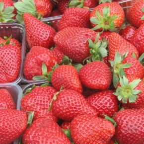 ����������� �������� �� �����������: ���� � ������