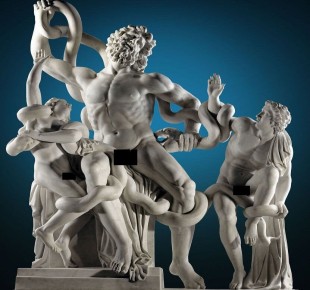 Как правильно формировать огурцы для максимального урожая