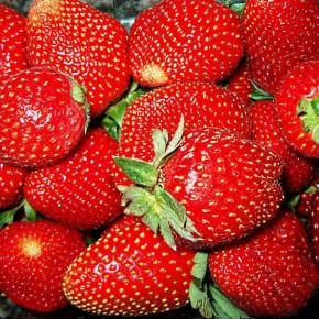 ������� ��������� ����� �� ���������: ��� ������������� ������������ ������