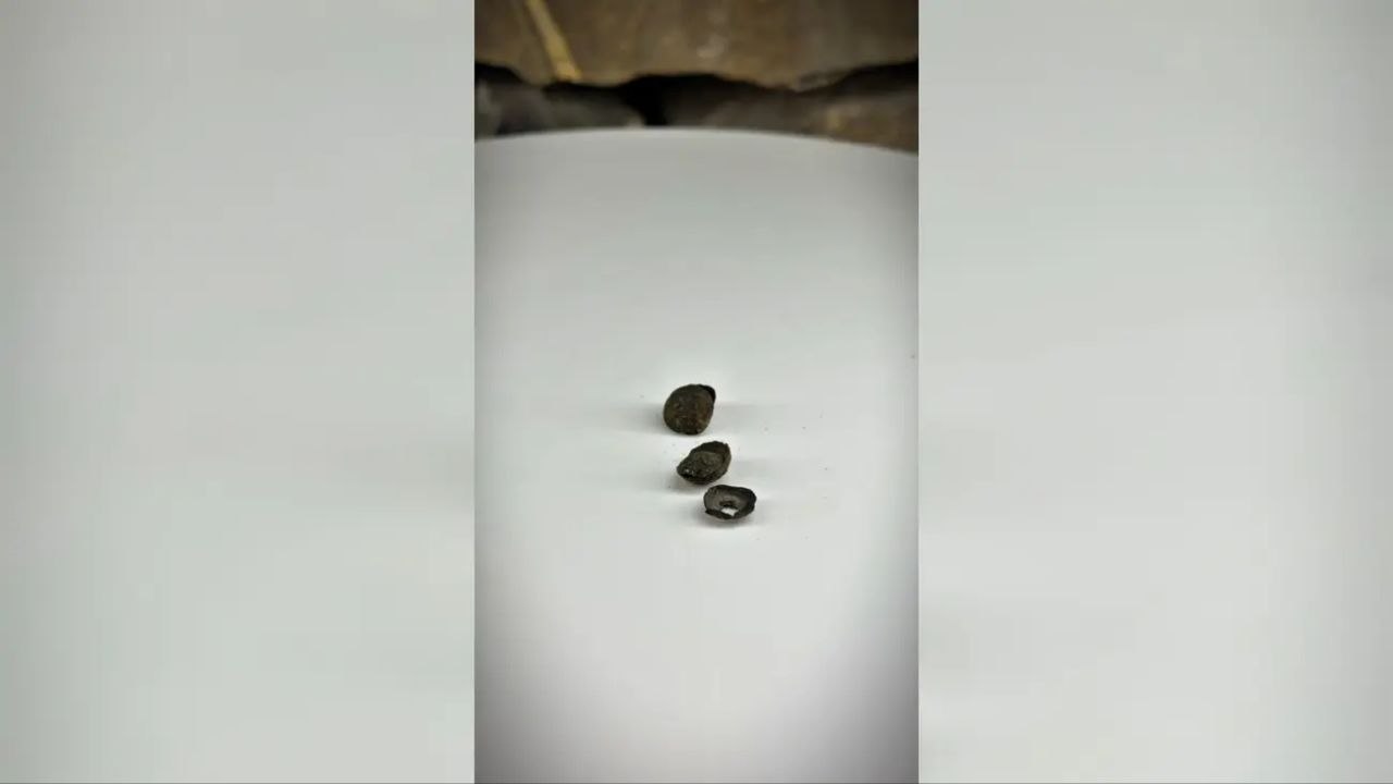 В горах Ингушетии нашли серебряные детали древнего украшения