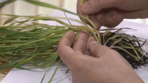 В Ингушетии оценили состояние сельхозугодий и подготовили прогноз на новый сезон