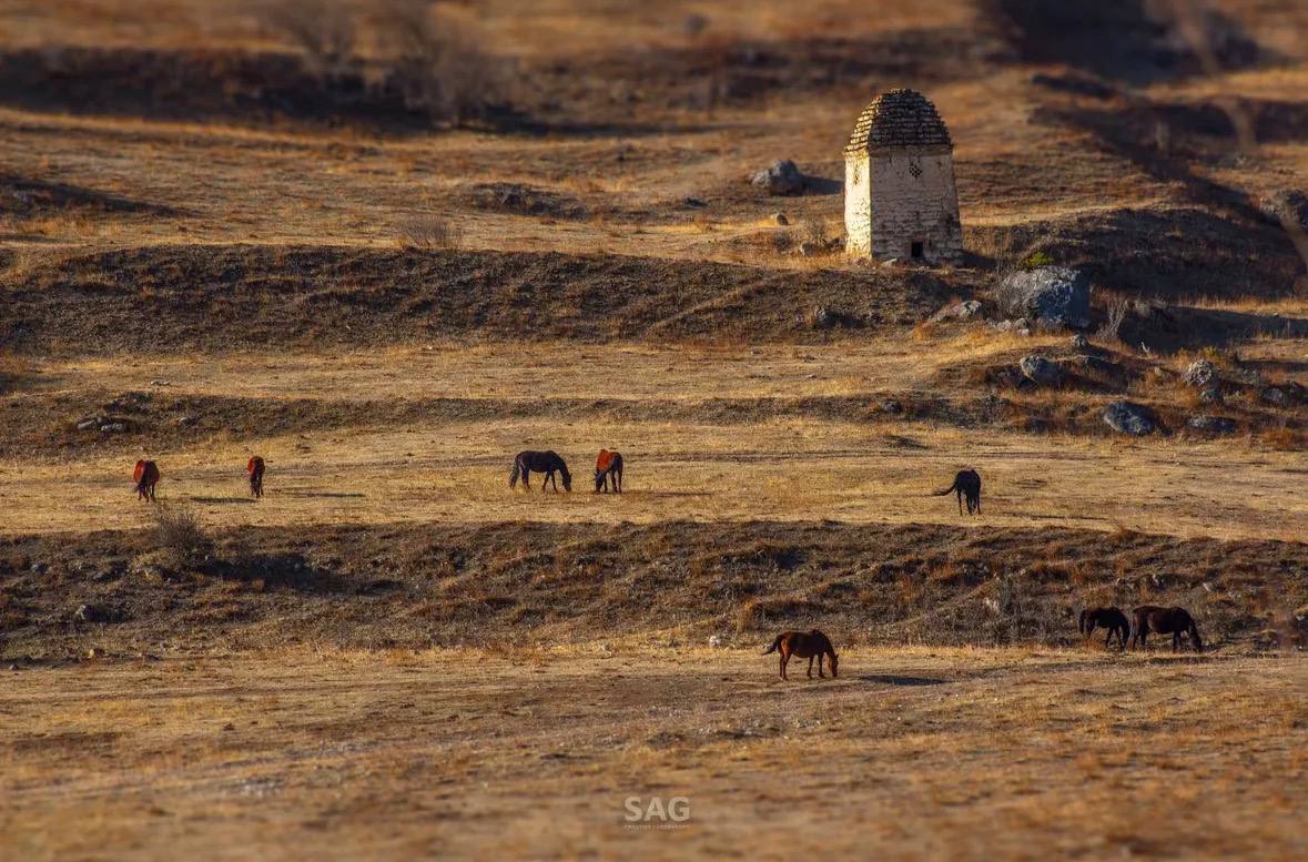 Продолжаем рассказывать о талантливых авторах, которые через объектив показывают Ингушетию с разных сторон Продолжаем рассказывать о талантливых авторах, которые через объектив показывают Ингушетию с разных сторон