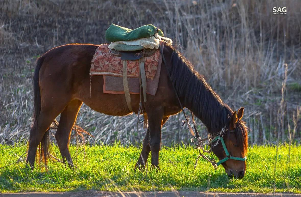 Продолжаем рассказывать о талантливых авторах, которые через объектив показывают Ингушетию с разных сторон Продолжаем рассказывать о талантливых авторах, которые через объектив показывают Ингушетию с разных сторон