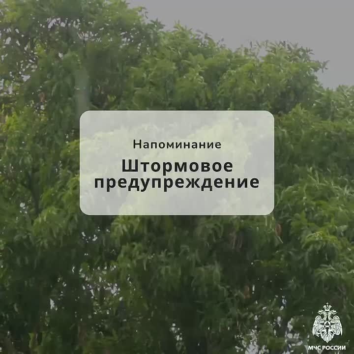 ��������: � ��������� ��������� ��������� 9 � 10 ������