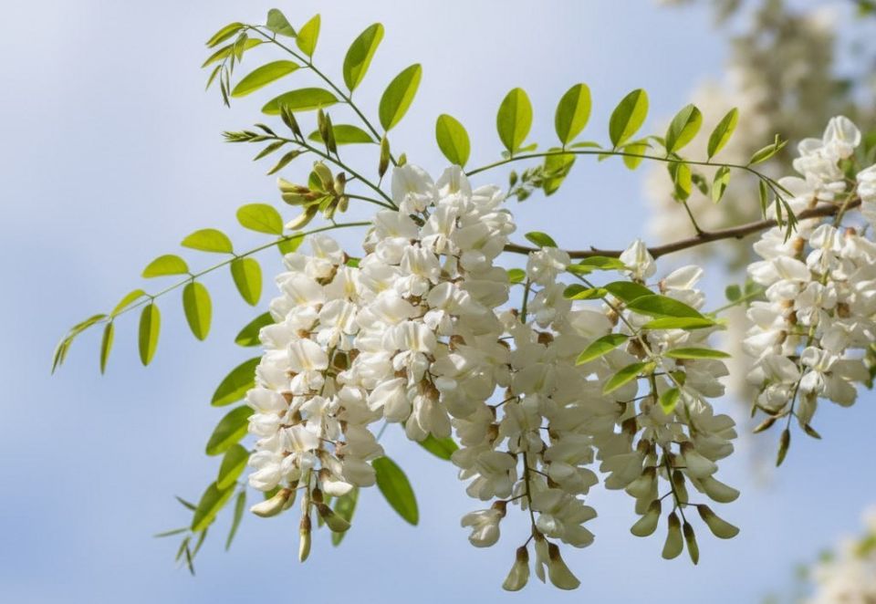 � �������� ��������� ������� ������� ������ �������� �������� ������ �� ����� ������ ������ ����������