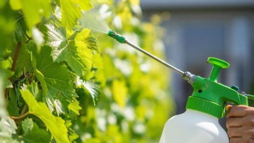 ��� ��� �����: ��� ��� ������ ��� ��� � ������������ ��������