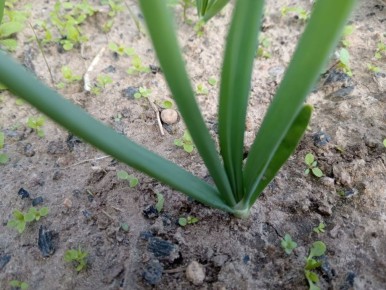 ��� ��������� ���������� ��� � ����: ������ � ������������