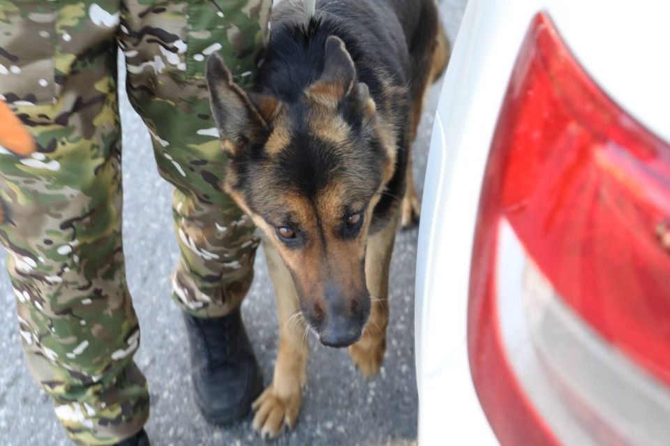 �������� � ���������� �������������� ��������� ��������� ����������� �� ����� ��������