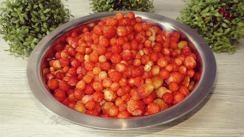 � ������� ��������� �� Wildberries � ���������� ���� � ����� ����