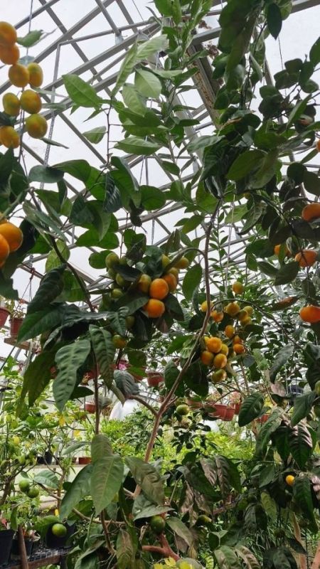 ��������� ���������� � ������������ ���� ��� ����� ����� �����