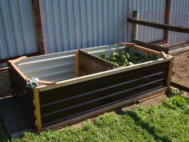 ��� ������������ ���������� ���� � �������� ������� ������ �� ��������� ���