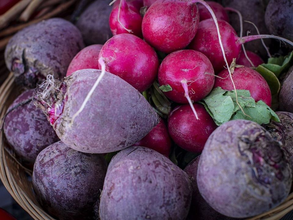 ��� ��������� ������� �����: ������ ��� ��������