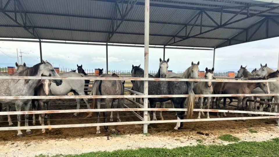 � ����� ��� ������ ��������� ������������� ������ ���������� ������� �� ����� � ���������� �������� � 204 ������ ������