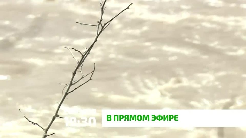 �� ������ �����: �������, ������������ � ����� ���������