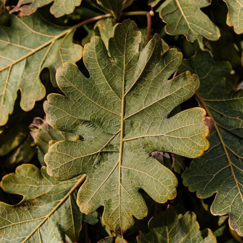 ��� ������� ������ ����� ����� ����� �������� � ������ � �����������