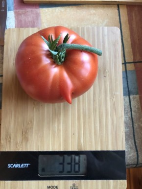 ������, ������� �������� �������