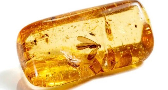 ��� �������� ������� �����������?