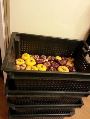 ������� ��������� �������� �����������: ����� � ��� �����������