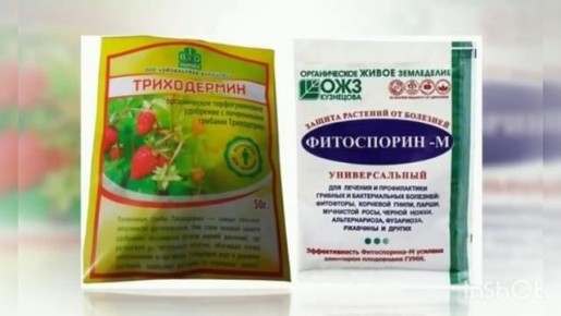 ����� ������������ �������: ���������� ��� ����������?