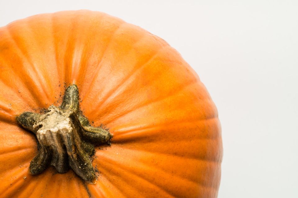 ����� �� �����: 5 ������� ��������, ������� ������� ���� � ������� ���� ������ ����������