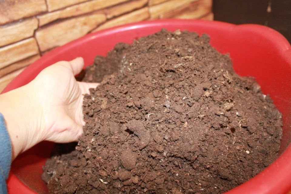 ����: ������� ������������� � ��� ���� ��� ������ ����