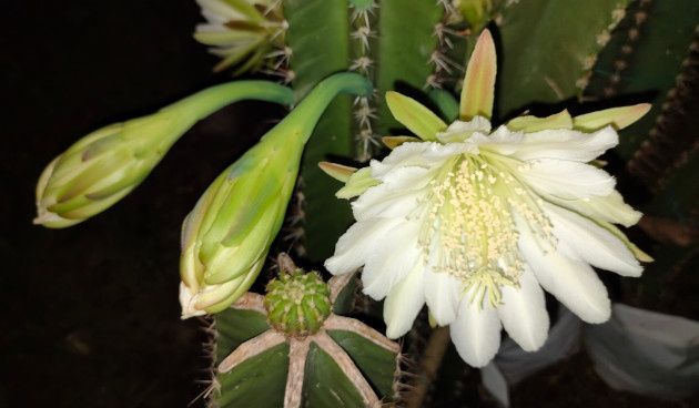 ������: ������� ��������� �������� ����� ������������� �������