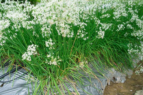 ��������� ������: ��� ��������� ��������� ���� �� ����� �������