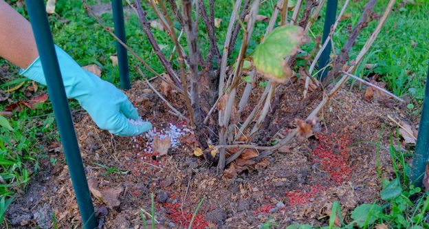 ������� ������ ���������: ��� ������� �������� ������ ����� ������� � ��� ����