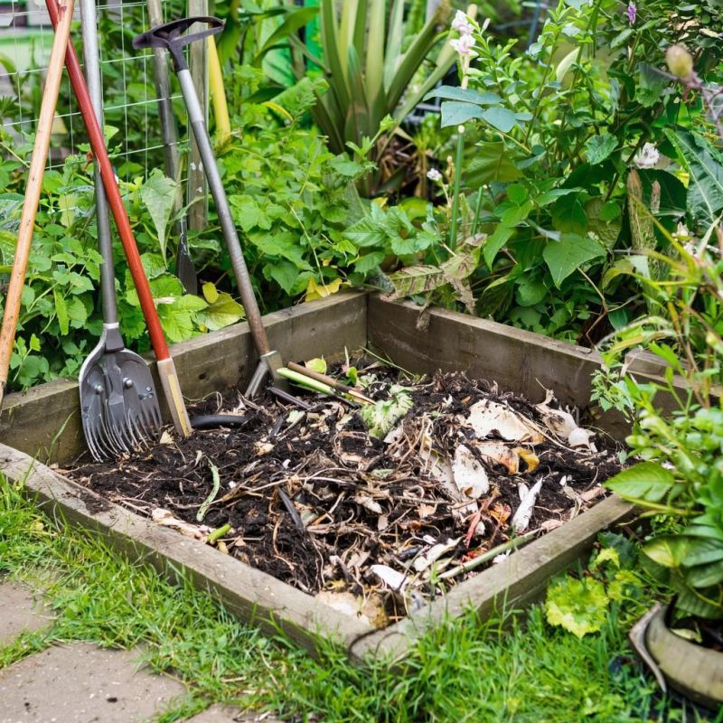 ��� �� ����� ������ � �������: ������ ��� ����������� �����������